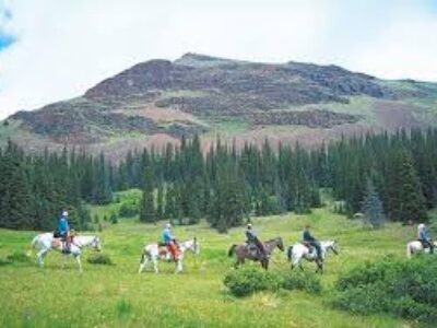 Why “Contingent Membership” in Fortitude Ranch with a Utility Token purchase may be best for you