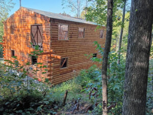 Nearly complete log cabin